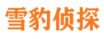 大新侦探